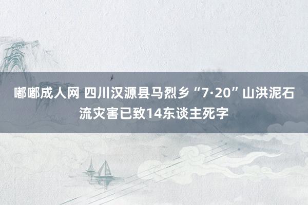 嘟嘟成人网 四川汉源县马烈乡“7·20”山洪泥石流灾害已致14东谈主死字