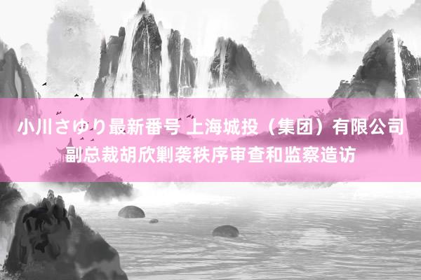 小川さゆり最新番号 上海城投（集团）有限公司副总裁胡欣剿袭秩序审查和监察造访