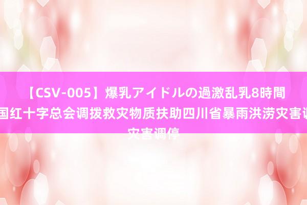 【CSV-005】爆乳アイドルの過激乱乳8時間 中国红十字总会调拨救灾物质扶助四川省暴雨洪涝灾害调停