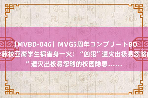 【MVBD-046】MVG5周年コンプリートBOX ゴールド 又一藤校亚裔学生祸害身一火！“凶犯”遭灾出极易忽略的校园隐患……