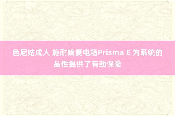 色尼姑成人 施耐嫡妻电箱Prisma E 为系统的品性提供了有劲保险