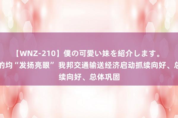 【WNZ-210】僕の可愛い妹を紹介します。 主要标的均“发扬亮眼” 我邦交通输送经济启动抓续向好、总体巩固