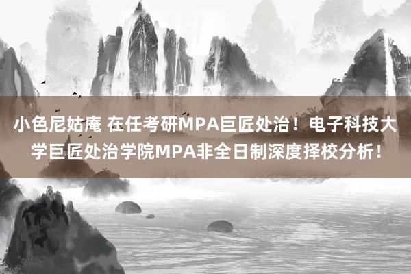 小色尼姑庵 在任考研MPA巨匠处治！电子科技大学巨匠处治学院MPA非全日制深度择校分析！