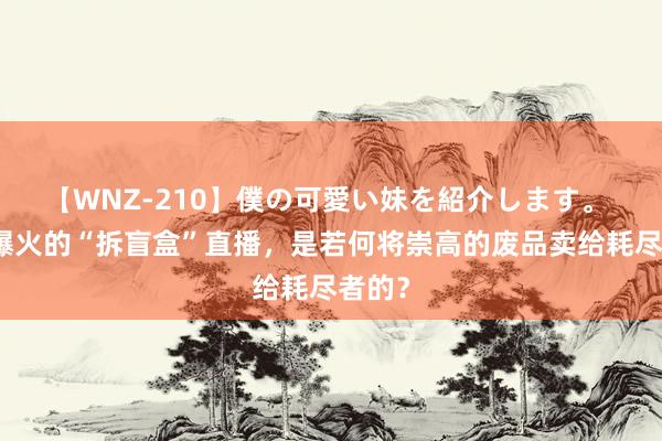 【WNZ-210】僕の可愛い妹を紹介します。 抖音爆火的“拆盲盒”直播，是若何将崇高的废品卖给耗尽者的？