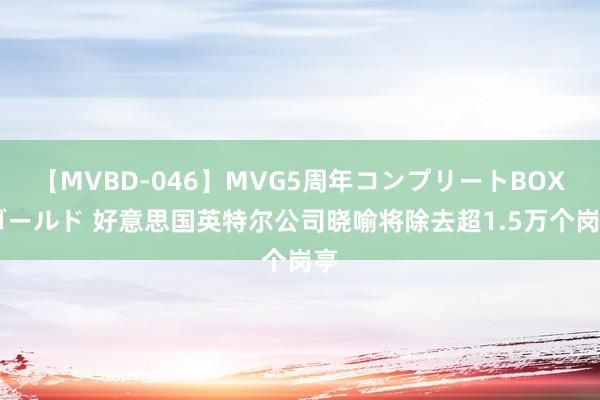 【MVBD-046】MVG5周年コンプリートBOX ゴールド 好意思国英特尔公司晓喻将除去超1.5万个岗亭