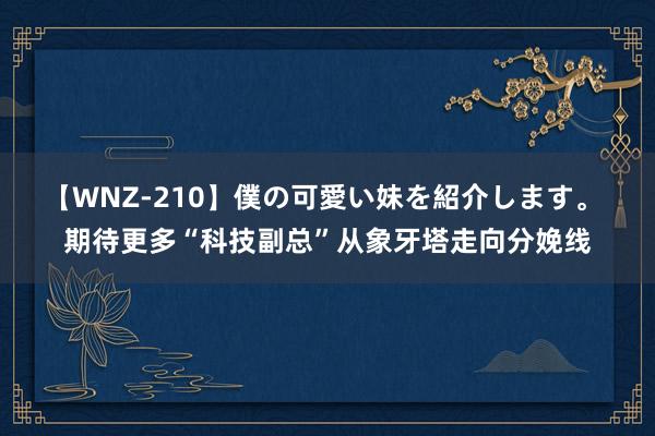 【WNZ-210】僕の可愛い妹を紹介します。 期待更多“科技副总”从象牙塔走向分娩线