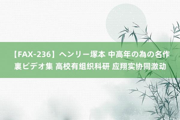 【FAX-236】ヘンリー塚本 中高年の為の名作裏ビデオ集 高校有组织科研 应翔实协同激动