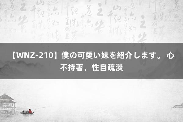 【WNZ-210】僕の可愛い妹を紹介します。 心不持著，性自疏淡