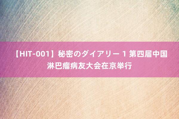 【HIT-001】秘密のダイアリー 1 第四届中国淋巴瘤病友大会在京举行