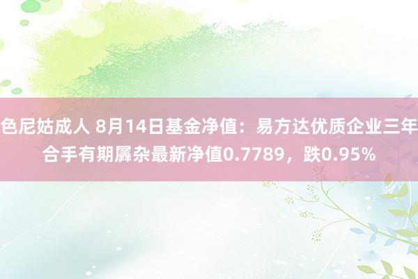 色尼姑成人 8月14日基金净值：易方达优质企业三年合手有期羼杂最新净值0.7789，跌0.95%