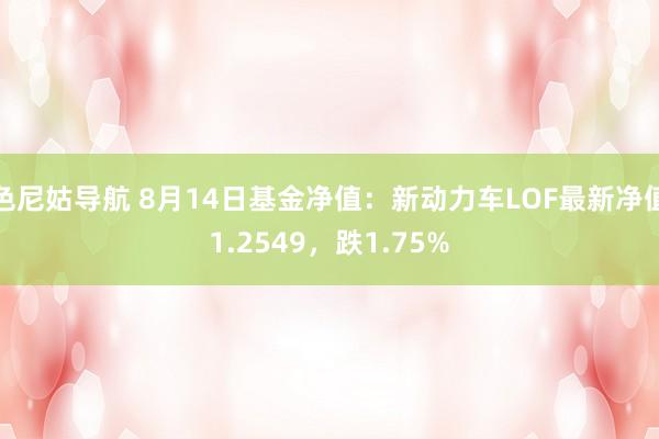 色尼姑导航 8月14日基金净值：新动力车LOF最新净值1.2549，跌1.75%