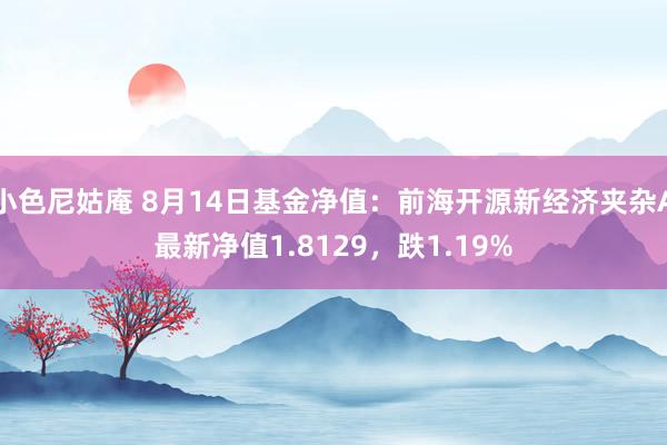 小色尼姑庵 8月14日基金净值：前海开源新经济夹杂A最新净值1.8129，跌1.19%