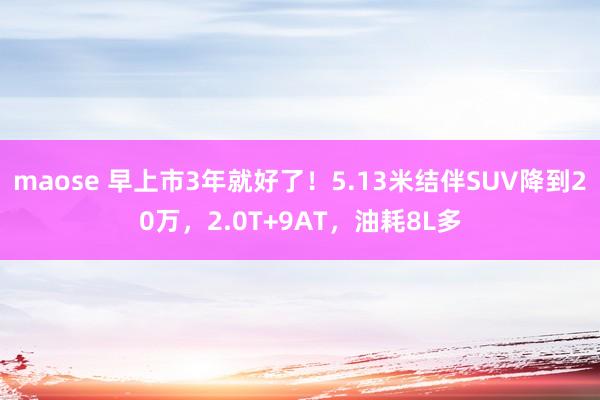 maose 早上市3年就好了！5.13米结伴SUV降到20万，2.0T+9AT，油耗8L多