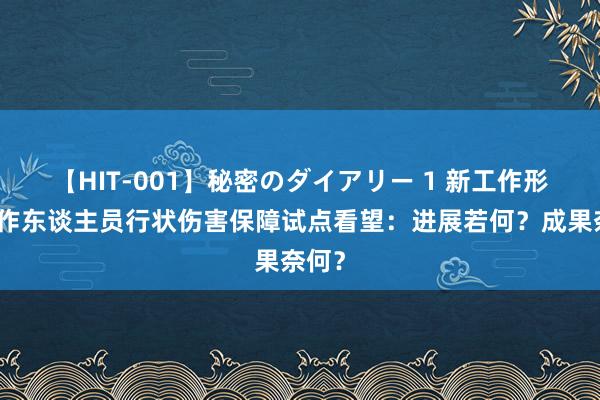 【HIT-001】秘密のダイアリー 1 新工作形态工作东谈主员行状伤害保障试点看望：进展若何？成果奈何？