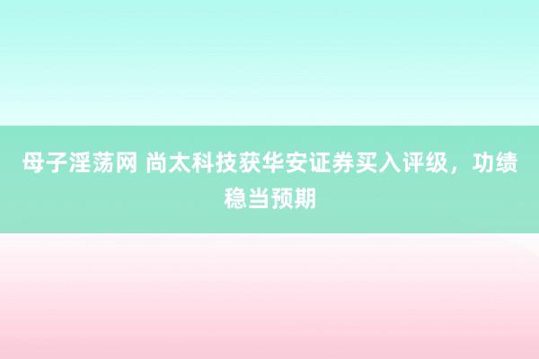 母子淫荡网 尚太科技获华安证券买入评级，功绩稳当预期