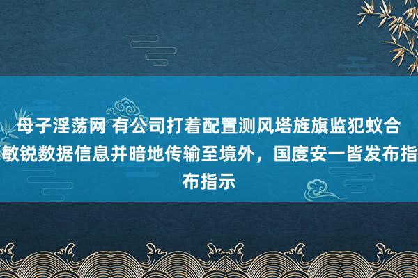 母子淫荡网 有公司打着配置测风塔旌旗监犯蚁合我敏锐数据信息并暗地传输至境外，国度安一皆发布指示