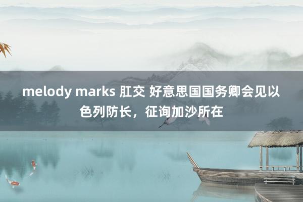 melody marks 肛交 好意思国国务卿会见以色列防长，征询加沙所在