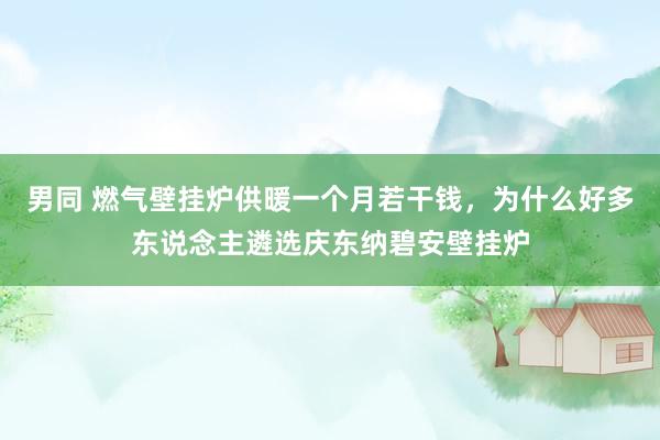 男同 燃气壁挂炉供暖一个月若干钱，为什么好多东说念主遴选庆东纳碧安壁挂炉