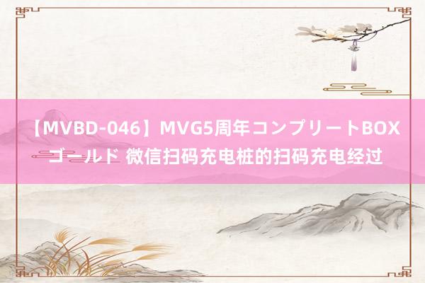 【MVBD-046】MVG5周年コンプリートBOX ゴールド 微信扫码充电桩的扫码充电经过