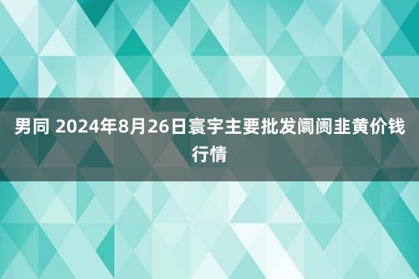 男同 2024年8月26日寰宇主要批发阛阓韭黄价钱行情