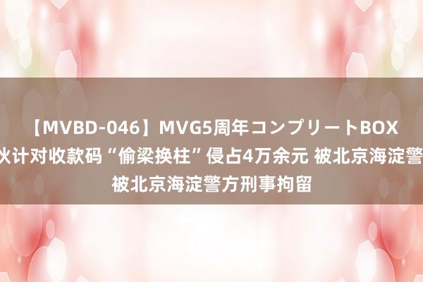 【MVBD-046】MVG5周年コンプリートBOX ゴールド 伙计对收款码“偷梁换柱”侵占4万余元 被北京海淀警方刑事拘留