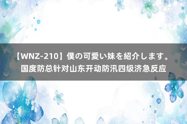 【WNZ-210】僕の可愛い妹を紹介します。 国度防总针对山东开动防汛四级济急反应