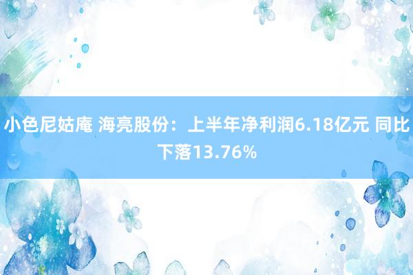 小色尼姑庵 海亮股份：上半年净利润6.18亿元 同比下落13.76%