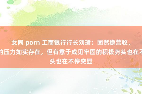 女同 porn 工商银行行长刘珺：固然稳营收、稳利润的压力如实存在，但有意于成见牢固的积极势头也在不停突显