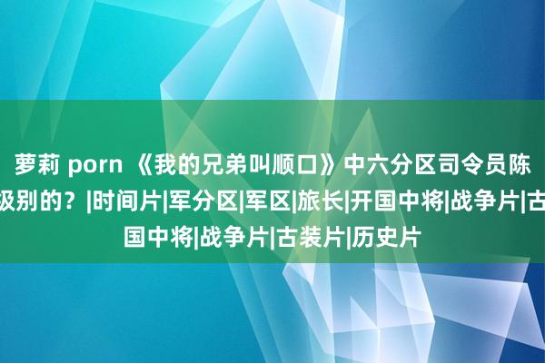 萝莉 porn 《我的兄弟叫顺口》中六分区司令员陈大雷是什么级别的？|时间片|军分区|军区|旅长|开国中将|战争片|古装片|历史片