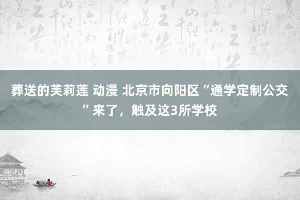 葬送的芙莉莲 动漫 北京市向阳区“通学定制公交”来了，触及这3所学校